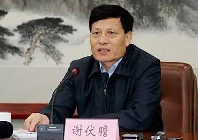 杨正超