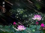 夏至是什么时候
