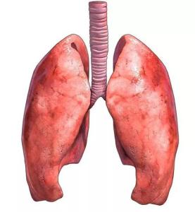 人体肺部疼痛一般位置