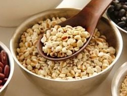 自己炒熟的薏米粉怎么保存 薏米有什么功效