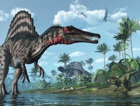 美国发现了一只活恐龙是真的吗 美国现在真的有恐龙吗视频