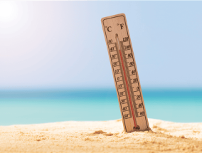 今年夏天逃不掉高温了：全球平均气温正在波动上升！