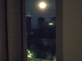 月色好美下一句 月亮警告