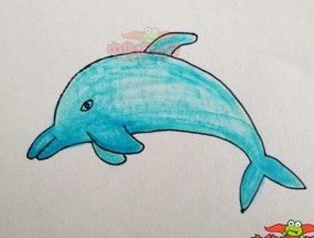 最简单的海豚怎么画是可爱的(海豚简笔画彩色涂色)