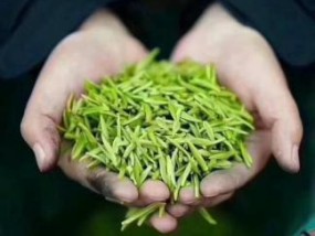 中国绿茶十大名茶排名(十大绿茶排行榜)
