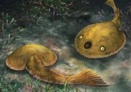 广西发现九尾狐甲鱼化石：长相极为怪异 游泳速度超快！