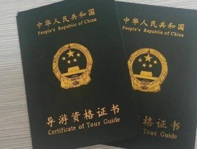 旅游证书怎么考（旅游从业证书考取的流程与要点）