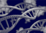 全国首个DNA存储领域预训练大模型 ChatDNA发布！