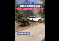 村民回应网传奥迪轿车被当祭品焚烧：确实是意外！