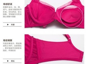中国文胸品牌排行榜(女士内衣文胸品牌排行榜)