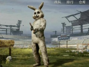 兔子杀人狂 美国兔子杀人狂