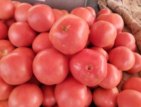 番茄是西红柿吗什么意思 西红柿最好吃的做法怎么做