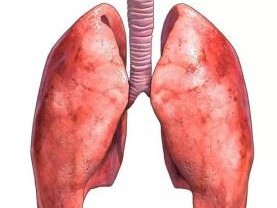 人体肺部疼痛一般位置 人体肺部疼痛一般位置图片 男性
