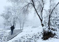 2024年元旦去南京能看到雪吗-什么时候南京可以看到雪