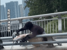 男子钓到大鱼单手骑车被甩翻 网友：安全第一！