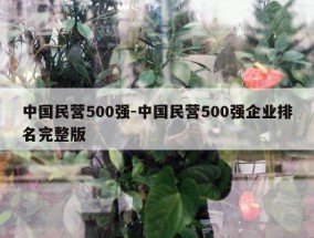中国民营500强-中国民营500强企业排名完整版