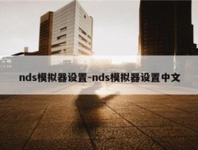 nds模拟器设置-nds模拟器设置中文