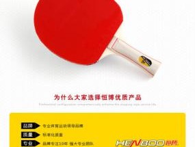 乒乓球拍品牌排名(品牌乒乓球拍)