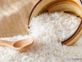 糙米和大米的区别热量 什么是糙米糙米和普通大米有什么区别
