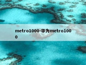 metro1000-华为metro1000