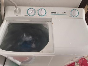 双缸洗衣机和波轮洗衣机哪个好