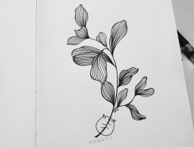 树叶简笔画怎么画一幅画 怎样用植物的叶子作画