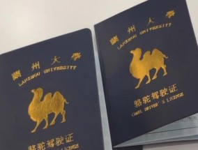 骆驼证是调侃兰州大学的 骆驼驾驶证是真实存在的吗？