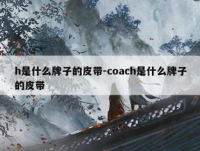 h是什么牌子的皮带-coach是什么牌子的皮带