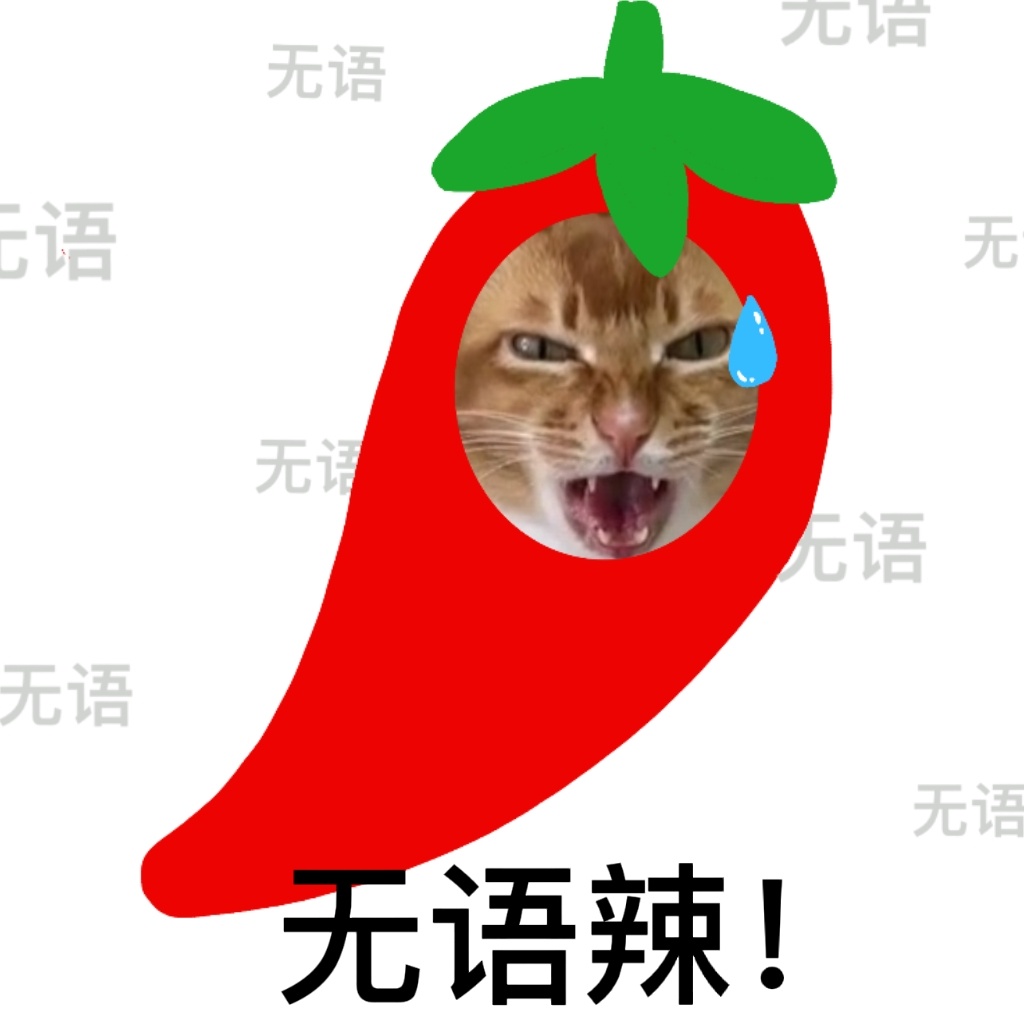 网红敦敦是什么品种的猫 敦敦猫咪表情包组图 - 网络编辑之家