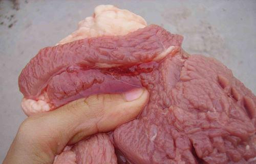 猪肉里的寄生虫子图片图片